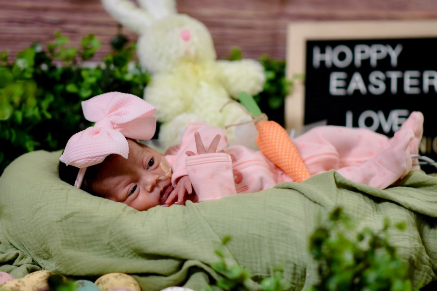 Nick’s baby in Southern California celebrates first spring in a festive outfit