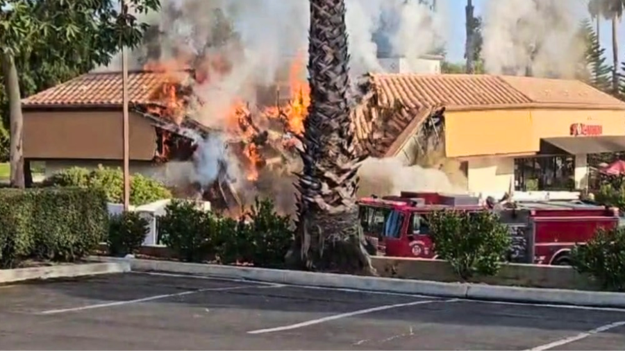Palm dessert woman declared for igniting a dangerous strip mall